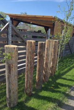 Pochodnie/Szwedzki Ogień 100cm Sosna !