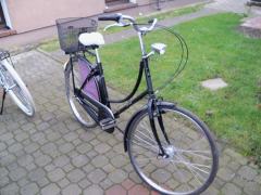 Holenderska Damka z koszykiem  koła 26 .