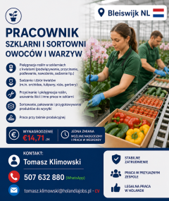 Praca Holandia szklarnia/sortownia