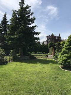 Ogród, rośliny 