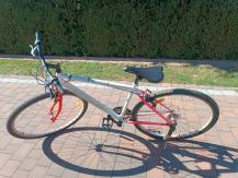 Rower 50 zl