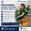 Praca Holandia szklarnia/sortownia