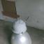 Sprzedam lampy warsztatowe