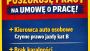 Szukam pracy 