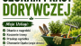 Szukam pracy dorywczej 