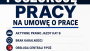 Poszukuję pracy na umowę o pracę 