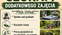 PODEJMĘ SIĘ DODATKOWEGO ZAJĘCIA 