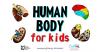 Human body for kids ? zajęcia dla dzieci w języku angielskim