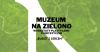 "Bukiet z sercem" - warsztaty plastyczno-florystyczne z cyklu "Muzeum na zielono"