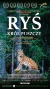 Ryś. Król Puszczy