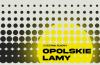 KONKURS GŁÓWNY - BLOK II - 21. Festiwal Filmowy Opolskie Lamy w Kinie Meduza
