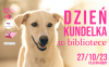 Dzień Kundelka w Bibliotece