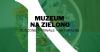 Suszone - trwałe - naturalne
