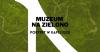 Portret w kapeluszu - Muzeum na zielono