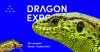 Dragon Expo w Toyota Park