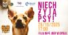 Niech żyją psy!