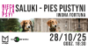 "Saluki - pies pustyni" - spotkanie z Iwoną Fortuną