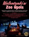 Walentynki w Zoo Opole