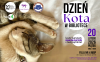 DZIEŃ KOTA W BIBLIOTECE