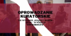 Wiosenne oprowadzanie kuratorskie - "Książęcy ogród sztuk - w Pokoju Wirtembergów"