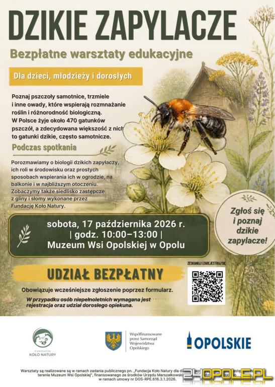 Oppole Opole - Warsztaty Dzikie zapylacze w Muzeum Wsi Opolskiej - Imprezy na ...