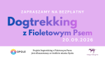 Dogtrekking z Fundacją Fioletowy Pies