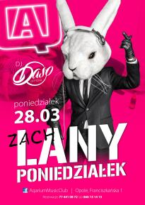ZachLANY Poniedziałek