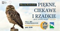 Piękne, ciekawe i rzadkie - garść wiedzy przed Nocą Sów