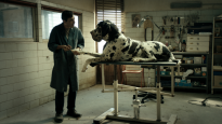 Film: Dogman