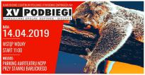 Podbiegi XV