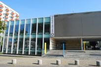 Warsztaty rodzinne: Zazielenienie