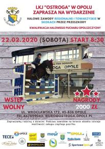 Halowe Zawody Regionalne i Towarzyskie w skokach przez przeszkody