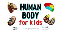 Human body for kids ? zajęcia dla dzieci w języku angielskim