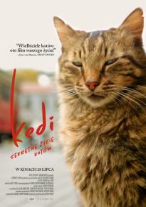 Kedi. Sekretne życie kotów