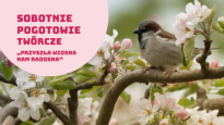 Sobotnie pogotowie twórcze, zajęcia teoretyczno-warsztatowe w MŚO