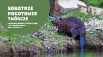 Sobotnie pogotowie twórcze, zajęcia teoretyczno-warsztatowe w MŚO