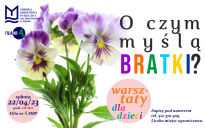 O czym myślą bratki? - warsztaty dla dzieci