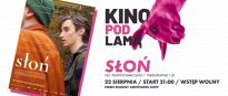 Kino pod lamą: Słoń