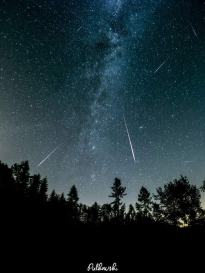 Opolska Noc Przyrodników - noc perseidów
