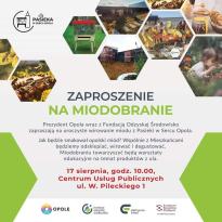 Czwartkowe miodobranie w CUP