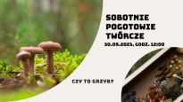 Sobotnie pogotowie twórcze: "Czy to grzyb?"