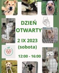 Dzień otwarty w Schronisku dla zwierząt w Opolu