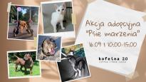 "Psie marzenia" - Adopcja Psa i Kota w Kofeinie 2.0