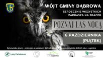 Spacer "Poznaj las nocą" w Dąbrowie
