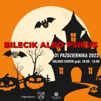 Bilecik albo psikus w Solaris Center