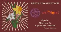 KRZYKI PO SZEPTACH | VIOLET AMBULANCE & METEROIDS | MIEJSCE X