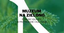 Muzeum na zielono - Rośliny iglaste w przyrodzie i kulturze