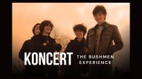 Koncert The Bushmen Experience i Vanessa Siwy w Miejscu X