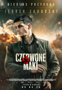 Czerwone maki - Kultura Dostępna