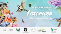 Spacer Ornitologiczny w Karczowie